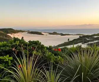 A Riqueza da Flora e da Restinga em Arraial do Cabo