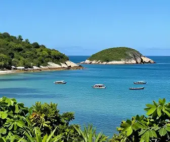 Descubra a Reserva Extrativista Marinha de Arraial do Cabo