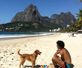 Descubra Arraial do Cabo: Dicas de Viagem para Aproveitar com Seu Pet Descubra Arraial do Cabo: Dicas de Viagem para Aproveitar com Seu Pet