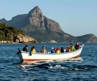 Descubra o Maravilhoso Passeio para Ver Baleias em Arraial do Cabo Descubra o Maravilhoso Passeio para Ver Baleias em Arraial do Cabo