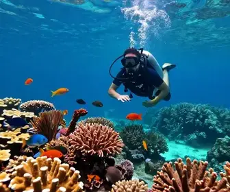 Experimente o Batismo de Mergulho em Arraial do Cabo: Uma Aventura Inesquecível Experimente o Batismo de Mergulho em Arraial do Cabo: Uma Aventura Inesquecível