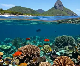 Explorando a Vida Marinha em Arraial do Cabo: Um Paraíso Subaquático