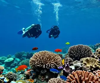 Explore o Mergulho no Saco do Cherne em Arraial do Cabo