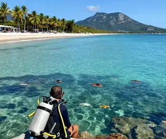 Guia Completo de Mergulho para Iniciantes em Arraial do Cabo Guia Completo de Mergulho para Iniciantes em Arraial do Cabo
