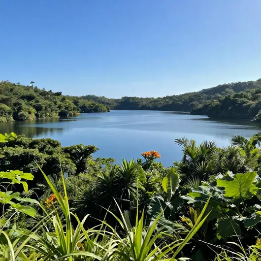 Lagoa de Monte Alto: Um Paraíso Natural em Arraial do Cabo Lagoa de Monte Alto: Um Paraíso Natural em Arraial do Cabo